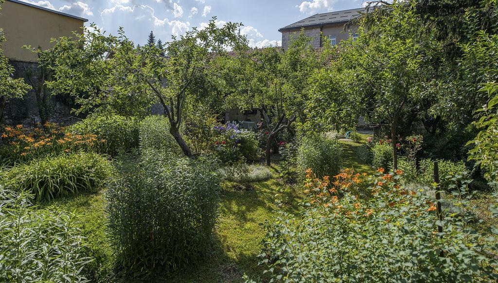 La Vecchia Casa Ξενοδοχείο Τσέτινιε Εξωτερικό φωτογραφία